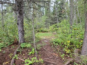 Small sloped bedroom at Campsite 1850