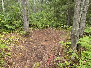 Another tent pad at Campsite 1850