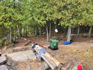View through the cedar grove at Campsite 1876