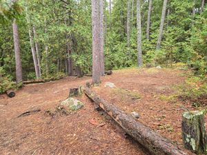 Best tent pad in Campsite 1876