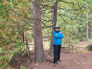 Our "hiding spot" at Campsite 1876