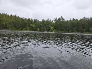 Campsite 1852
