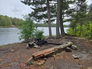 View south at Campsite 1856