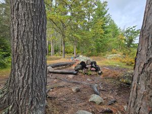 Looking back into Campsite 1856