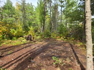 Tent pad at Campsite 1856