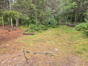 Open space at Campsite 1551