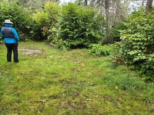 Tent pad at Campsite 1550