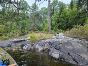 Campsite 1543