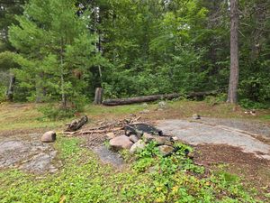 Campsite 1542