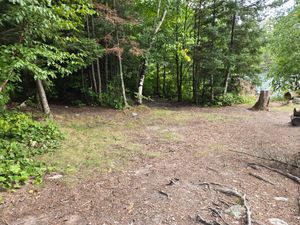 Large tent pad area at Campsite 1600
