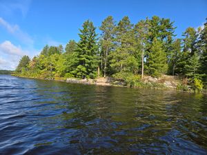 Campsite 1599