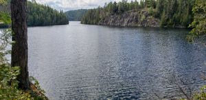View (1)