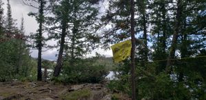 The flag flies again!
