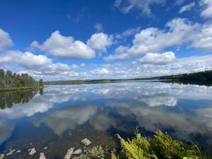 Lake View