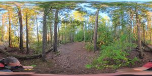 Campsite 1165