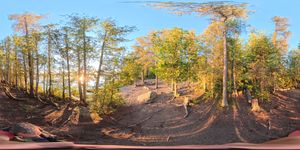 Campsite 1165