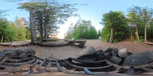 Campsite 1166