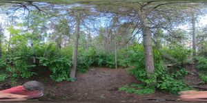 Campsite 1195