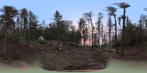 Campsite 2236