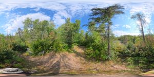 Campsite 1768