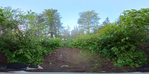 Campsite 1143