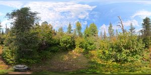 Campsite 1139