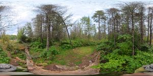 Campsite 1138
