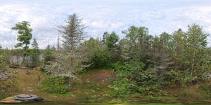 Campsite 1138