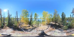 Campsite 1740