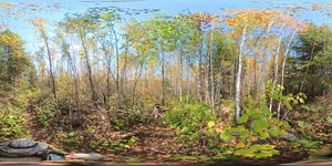 Campsite 1739