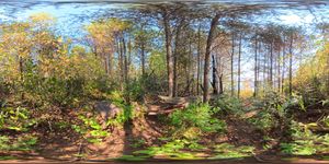 Campsite 1737