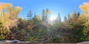 Campsite 1687