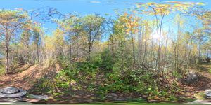 Campsite 1733