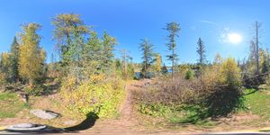 Campsite 2232