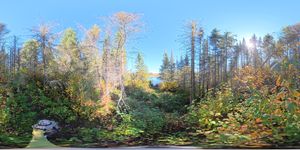 Campsite 1941