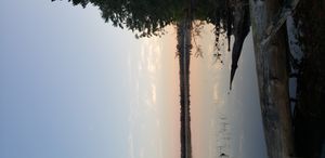 Dawn