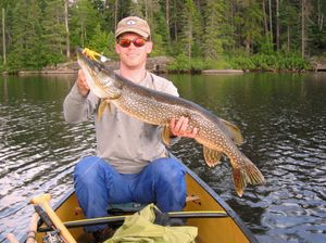 Buzzbait pike