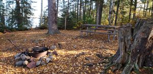 Campsite 21