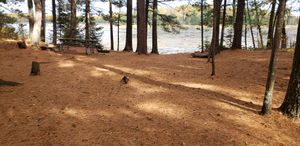 Campsite 15