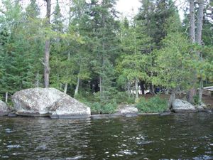 Oyster Peninsula Campsite