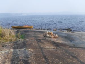 Burned 3 star campsite on Burntwood Lake looking west