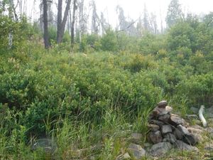 185m Portage entrance on Burntwood Lake side