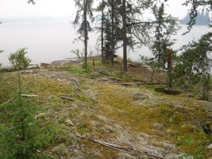 Campsite C looking southeast