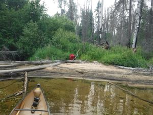 Portage entrance from Bigshell Lake