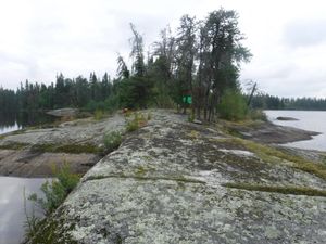 Campsite 1B looking west