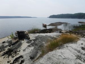 Campsite 52 looking south