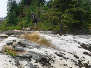 Campsite 52 looking southwest