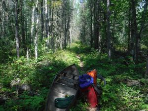 Beautiful Knox portage that is green and not burned