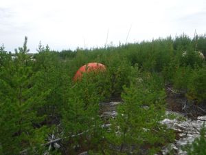 Tent spot for campsite P6 looking west