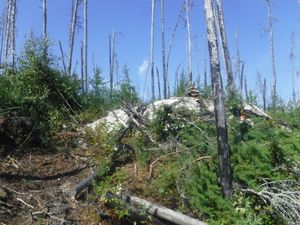 rock cairn marking south entrance for this portage